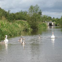 ownashare cruising limited