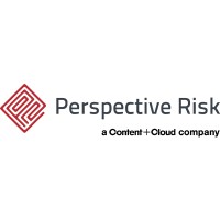 perspective risk limited