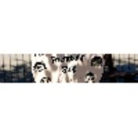 the premier academy limited