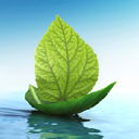 springcare support services