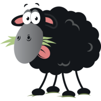 black sheep utilities limited
