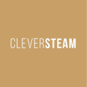 cleversteam limited