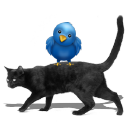 podcats productions ltd