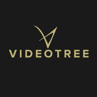 videotree limited