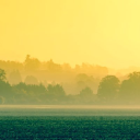 rajesh munglani limited