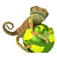 chameleon school of construction ltd