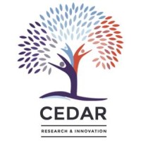cedar insight ltd