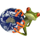 frog solutions limited