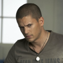 wentworth miller limited