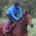 insignia racing limited