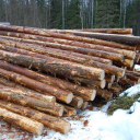 vertical timber limited