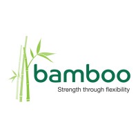bamboo medical communications ltd
