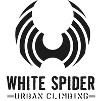 white spider climbing limited