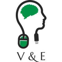 ve consulting ltd