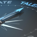 chesterton gray limited