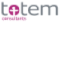 totem consultants ltd