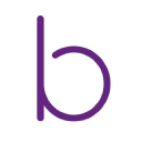 bray capital limited