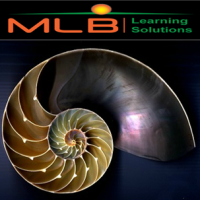 mlb learning solutions ltd