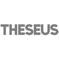 the theseus agency limited
