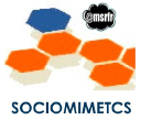 sociomimetics ltd