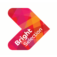 bright selection ltd