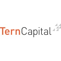 tern capital limited