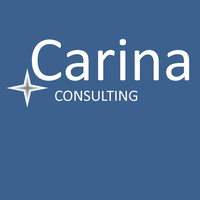 carina consulting limited