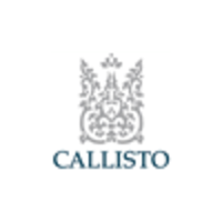 callisto wealth management limited