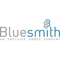 bluesmith information systems limited