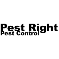 pest right limited