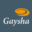 gaysha surfaces limited