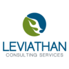 leviathan consulting limited