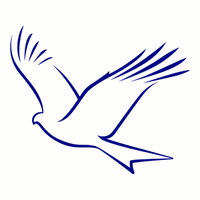 spiro engineering consultants ltd