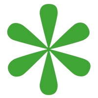 first intuition maidstone limited