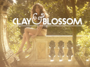 clay and blossom limited