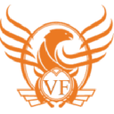 the virdee foundation