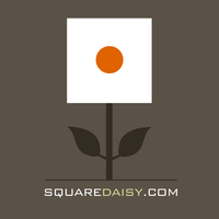 square daisy ltd