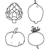 spiers & company limited