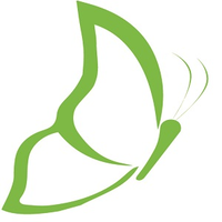 dramatic training solutions ltd