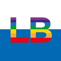 lee baron group limited