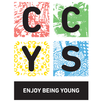 crawley community youth service limited