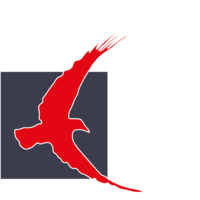 the cornelius arts foundation limited