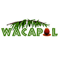 wacapol mills ltd