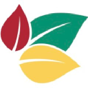 broadleaf partnership trust