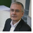 dogma consulting limited