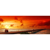 dating options limited