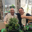 plenus care ltd