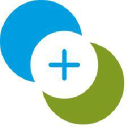 17pt management limited