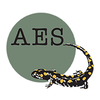 aes national limited