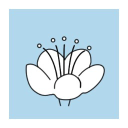 the deborah ubee trust ltd